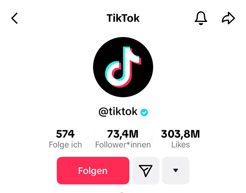 TikTok Profil mit blauem Haken