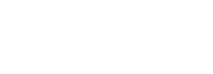Strellson